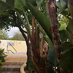 Small Oasis With Pool Near And Olhao Quelfes