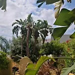 Small Oasis With Pool Near And Olhao Quelfes