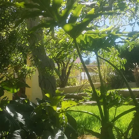 Small Oasis With Pool Near And Olhao * Quelfes