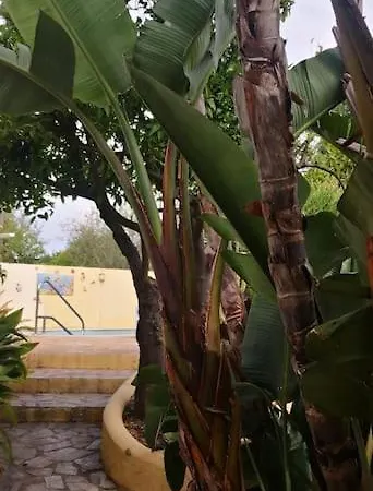 Small Oasis With Pool Near And Olhao Quelfes