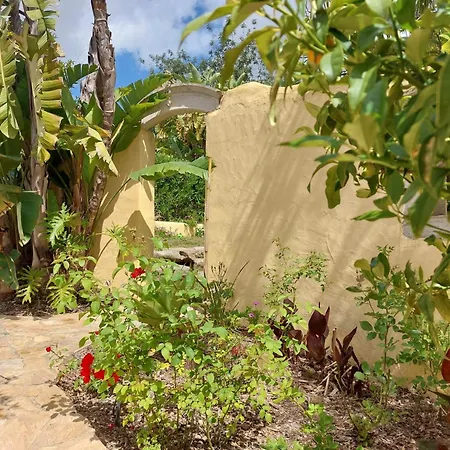 Small Oasis With Pool Near And Olhao 아파트 Quelfes