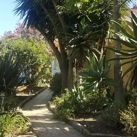 Small Oasis With Pool Near And Olhao *