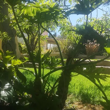 Small Oasis With Pool Near And Olhao *