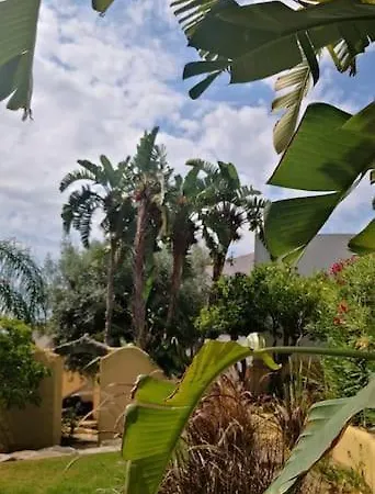 Small Oasis With Pool Near And Olhao Quelfes