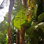 Small Oasis With Pool Near And Olhao